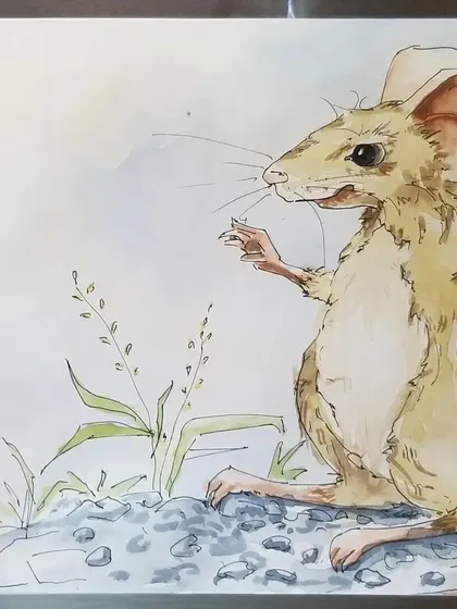 Another one of our mouse character studies. This one focuses on posture and expression, using simple ink lines and a light watercolor wash to bring the character to life.