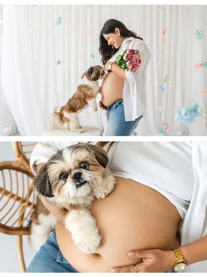 A collage from a studio maternity shoot, showing the mother-to-be sharing tender moments with her Shih Tzu. These sessions are a perfect way to celebrate the unique bond you share.