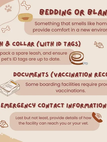 When packing for boarding, remember to include bedding that smells like home, a leash and collar with ID tags, and all necessary vaccination records.