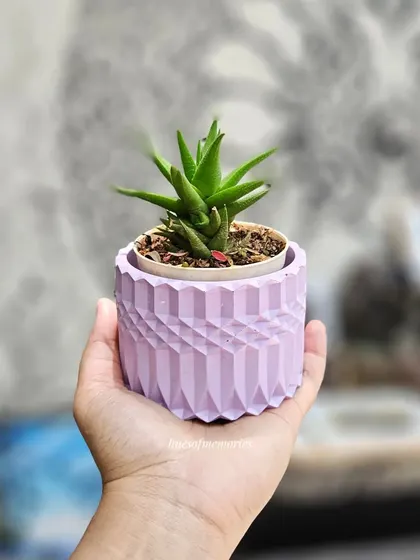 Another one of my handmade planters, this time in a lovely pastel lavender. These are non-toxic, waterproof, and easy to clean, making them ideal for your desk or balcony garden.