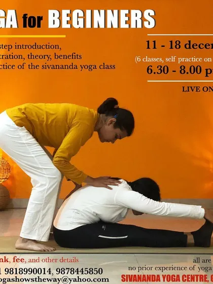 If you are new to yoga, our Beginner's Course is the perfect place to start. This poster outlines our structured program where we introduce the five fundamental points of yoga in a clear, step by step manner.