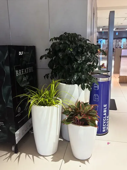 My indoor plant solutions are designed to complement a healthy office environment. Here you can see my planters placed near a "Breathe Safe" air unit, working together to create a cleaner, more pleasant atmosphere for employees.