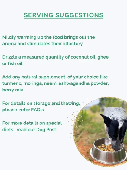 With our meals as a base, you have the freedom to add your own supplements like turmeric or moringa powder, tailoring the food to your dog's specific needs.