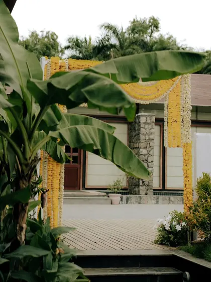 The entrance to a Haldi ceremony, framed by lush banana plants and an archway decorated with yellow marigold garlands, setting a traditional and welcoming tone.