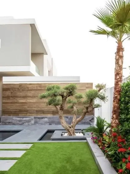 Another angle of the modern villa landscape, showcasing the clean lines, the contrast between the green lawn and hard surfaces, and the strategic placement of palm trees.