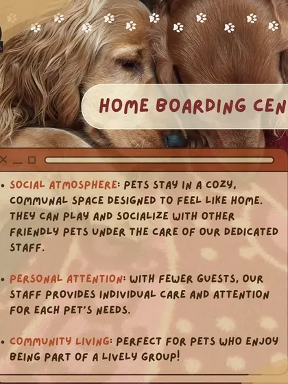 Our Home Boarding Centers offer a cozy, communal atmosphere. With fewer guests, our staff provides lots of personal attention in a lively group setting.