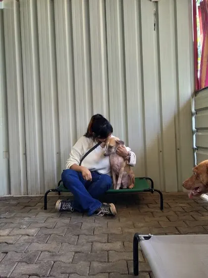 Working with the dogs at Sarvoham Animal Foundation was an incredible experience. Here I am having a quiet moment with one of the resident dogs. Shelter work is a powerful reminder of the resilience of animals and the importance of giving them a second chance.