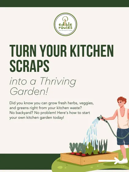 Learn to turn your kitchen scraps into a thriving garden. Our workshops teach you how to compost effectively, creating "black gold" for your plants from everyday kitchen waste like fruit peels and coffee grounds.
