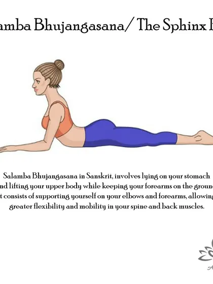 Salamba Bhujangasana (The Sphinx Pose) is a gentle backbend that strengthens the spine, opens the chest, and relieves stress.