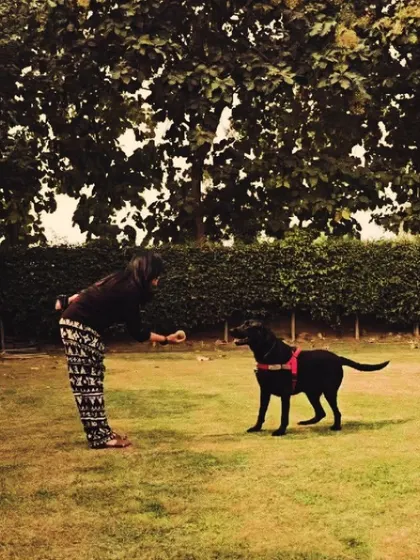 Teaching the 'wait' command before throwing the ball. This simple exercise builds impulse control and makes playtime a valuable training opportunity.