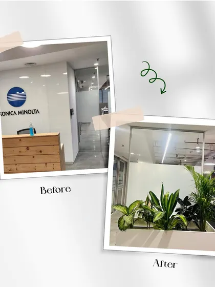This before and after shot shows the reception area of Konica Minolta. By adding a simple, elegant planter, I softened the corporate look and created a more welcoming first impression for visitors and employees.