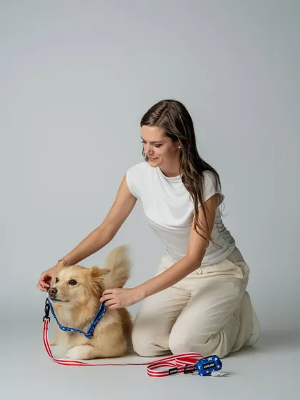 A close-up of a model adjusting a stylish harness on a very patient dog. Product photography for pet brands requires capturing both the details of the product and the comfort of the pet.
