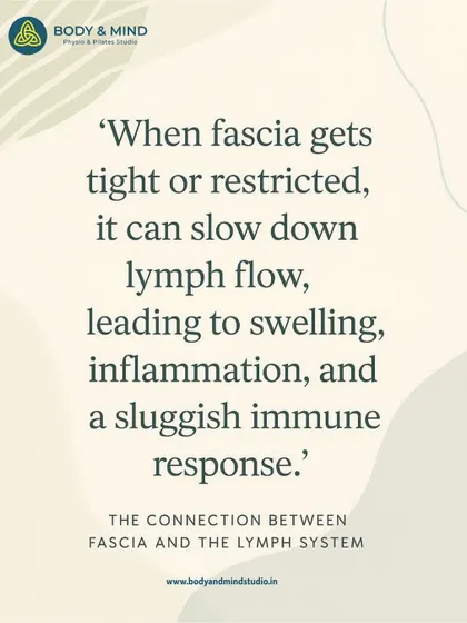 This quote explains the critical link between fascia and the lymphatic system. When fascia is tight, it can slow lymph flow, leading to swelling and a sluggish immune response. Myofascial release helps to restore this flow.