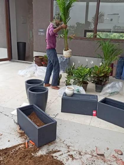 The installation process for a balcony garden. My team member is carefully potting plants, a crucial step in ensuring the longevity and health of the greenery.
