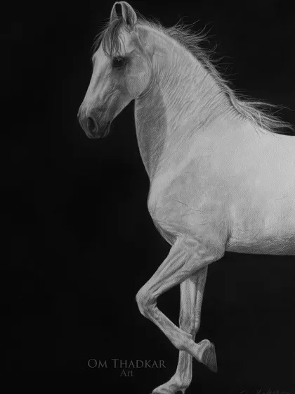 A graceful white horse drawn against a stark black background. This piece highlights the elegant contours and gentle strength of the subject through the use of negative space.