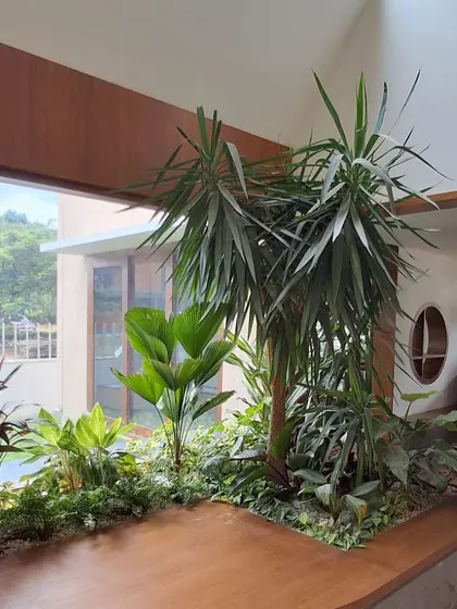 Another angle of the stunning indoor garden, showcasing the height and variety of the plants used to create a dense, tropical feel within the home.