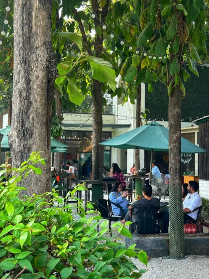 A candid shot of guests enjoying the shade and greenery of our patio, with string lights adding to the charm.