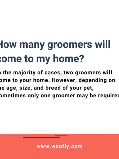 The number of groomers is tailored to your pet's specific requirements for size, breed, and temperament.