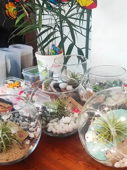 A collection of air plant terrariums ready to find new homes. You can see the different ways I use sand, pebbles, and miniatures to create unique little worlds in each glass bowl.