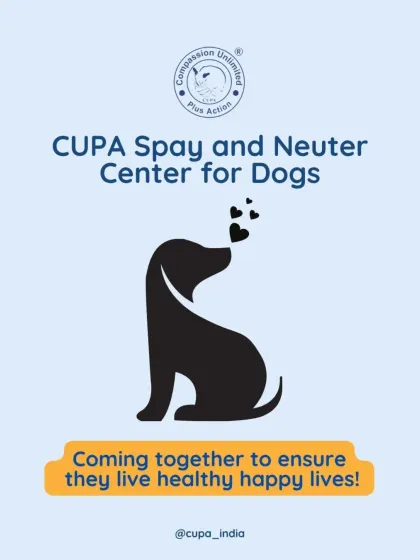 Our Spay and Neuter Center for Dogs is dedicated to one simple mission: coming together as a community to ensure every dog lives a healthy, happy life.