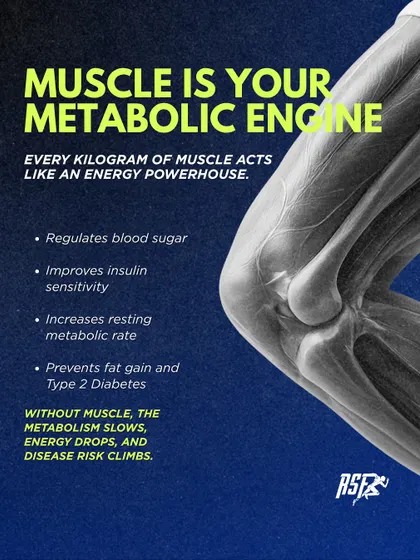 Muscle is your metabolic engine. It regulates blood sugar, improves insulin sensitivity, and increases your resting metabolic rate. Without it, energy drops and disease risk climbs.