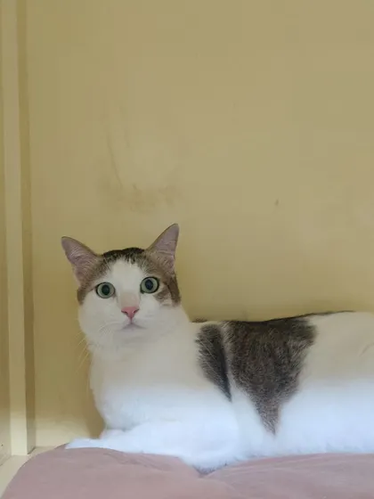 Mr. Ari, our drama king, looking innocent. He is a character and always keeps me entertained.