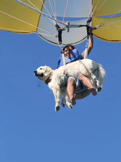 Our first parasailing experience in Diu was a huge success. You can see how calm and observant Vanilla is, which is a direct result of conditioning her to new heights and sensations over time.