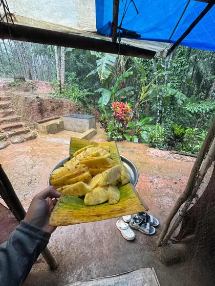 Freshly cut pineapple served on a banana leaf. Simple, natural, and incredibly delicious snacks after a tiring trek.
