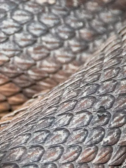 A macro photo of the scales of a Mangrove Pit Viper in Singapore. The snake was so close to the boardwalk that I could capture the intricate, repeating pattern and texture of its serpentine skin.
