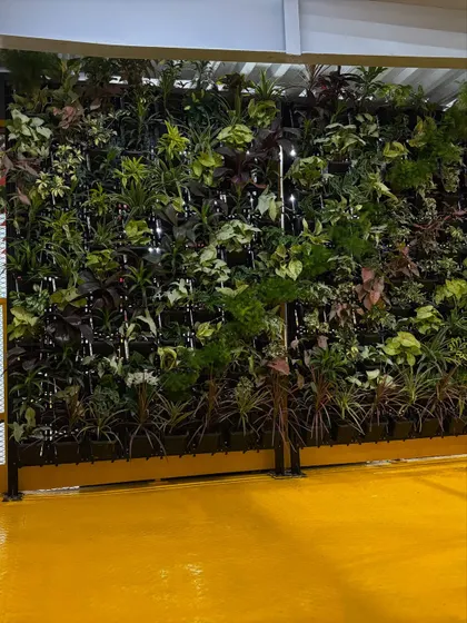 A full view of a completed vertical garden, showcasing how it can turn a plain industrial wall into a vibrant feature. This installation uses a modular system that can be scaled to fit any wall size.