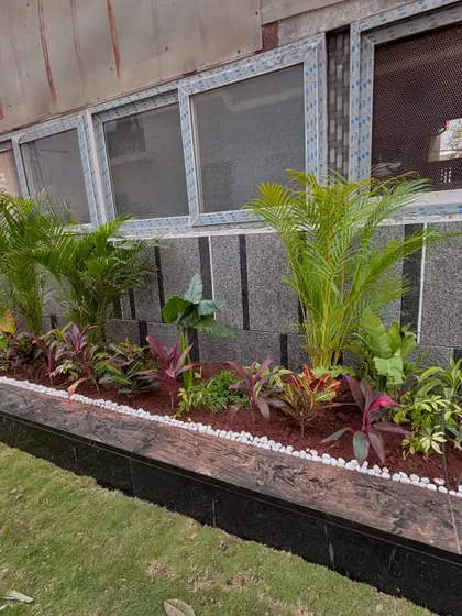 Another angle of the planter beds, showing how I use different plant heights to create visual interest.
