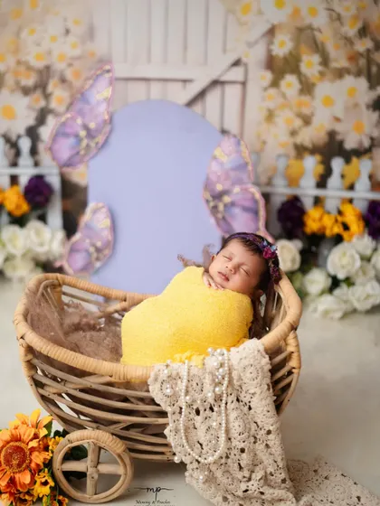 Wrapped up like a little sunbeam in a yellow swaddle, this baby is the centerpiece of our butterfly garden.