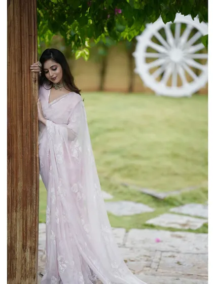 A serene portrait in the blush pink saree, showcasing its timeless appeal.