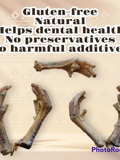 A detailed look at the texture of my dehydrated chicken feet. The natural drying process makes them a long-lasting and engaging chew for your dog.