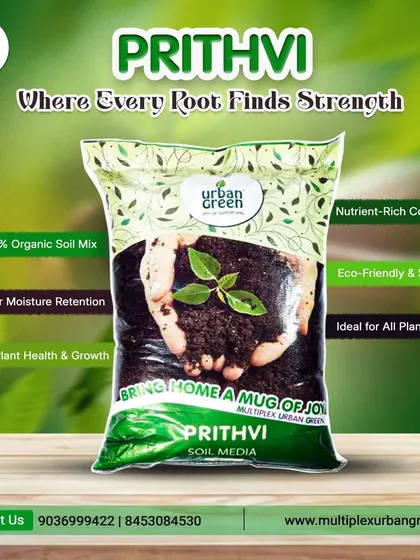 With superior moisture retention and a nutrient-rich composition, Prithvi Soil Media is where every root finds its strength. This 100% organic mix is safe, eco-friendly, and ideal for all types of plants.