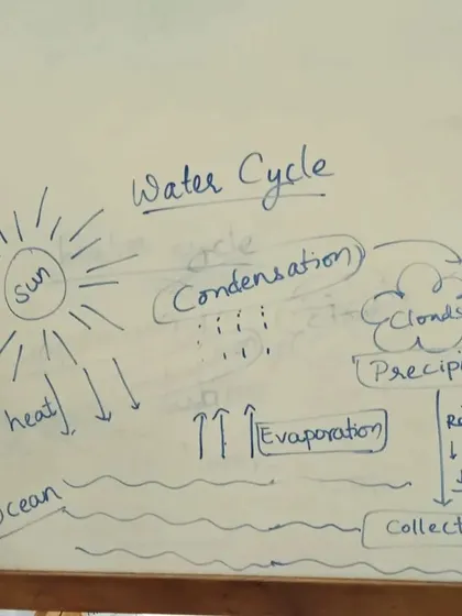 A whiteboard diagram explaining the different stages of the water cycle.