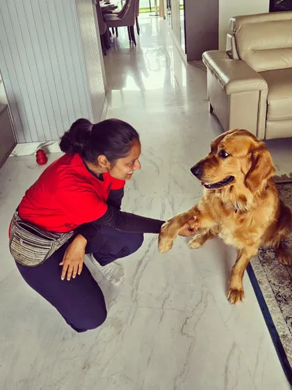 Goodbyes are tough, but they also mark a new beginning. Leo's training is complete, and he's now ready for his big move to the USA, fully crate-trained and with great leash manners.
