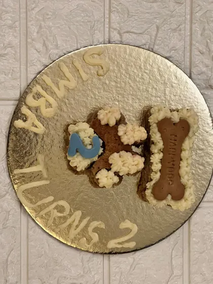 I had so much fun creating this custom cake for Simba's 2nd birthday. We can get creative with fun shapes like numbers or bones. If you have a fun idea for your dog's cake, just let me know!