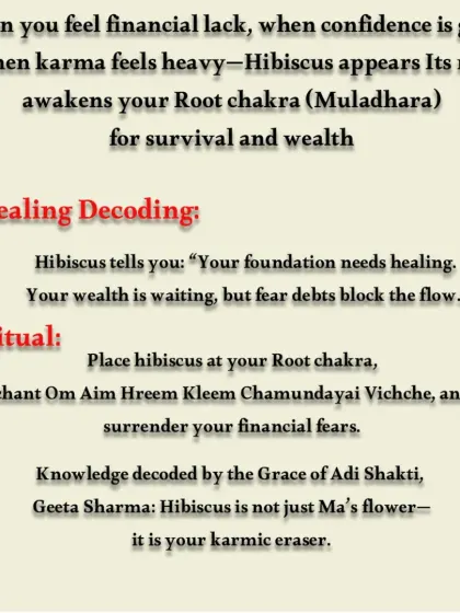 This graphic decodes the healing power of the hibiscus for financial lack and low confidence. It explains a ritual to awaken the Root Chakra for survival and wealth.