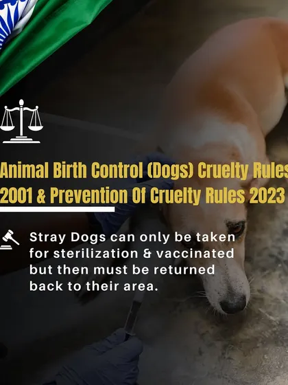 Freedom and rights are for everyone, including animals. This infographic highlights the Animal Birth Control rules in India, which state that stray dogs must be returned to their territory after sterilization.