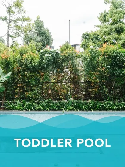 We are proud to offer a dedicated toddler pool, ensuring a secure and shallow space for our youngest members.