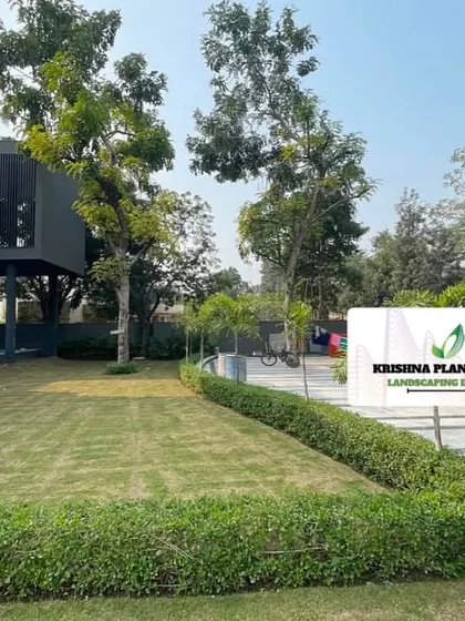A wide view of the modern house project, showing the expansive lawn we installed. A healthy, well-maintained lawn provides the perfect green canvas for the entire landscape design.