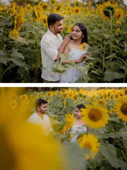 Two views of the couple in a sunflower field, showing their interaction and the beauty of the natural surroundings in their pre-wedding photos.