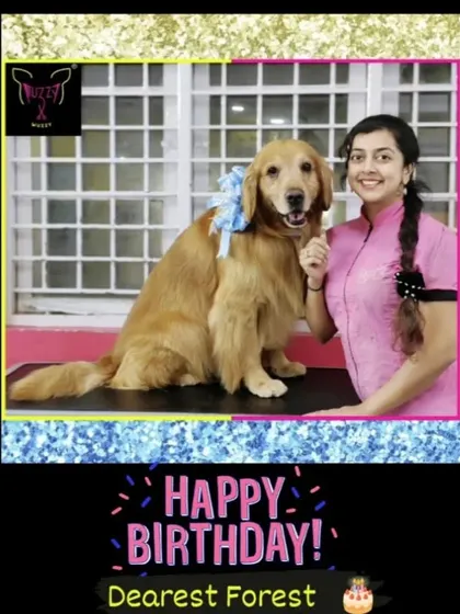 Happy Birthday, dearest Forest. This beautiful Golden Retriever is celebrating his special day with a fresh grooming and a big smile.