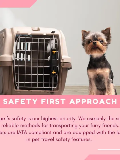 Our safety-first approach means we only use the most reliable transport methods and IATA-compliant carriers equipped with the latest safety features.