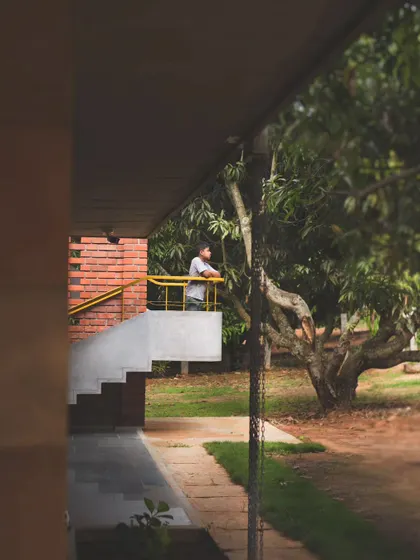 A person enjoying the view from the rooftop terrace of "Aamra." The simple yellow railing provides safety without obstructing the panoramic view of the mango farm and the hills beyond.