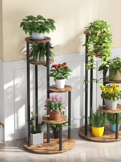 A multi-tiered plant stand is a fantastic way to display a collection of plants, especially in a small space. It creates a vertical garden and ensures each plant gets enough light.