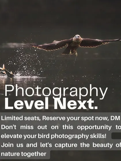 My goal is to help you take your photography to the next level. This workshop is a dedicated opportunity to elevate your skills and capture the beauty of nature together, creating dramatic images like this eagle securing its catch.