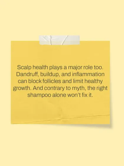 A healthy scalp is the foundation for healthy hair. Chronic dandruff, product buildup, and inflammation can block follicles and inhibit growth, which is why my treatment plans always include strategies to restore scalp health.