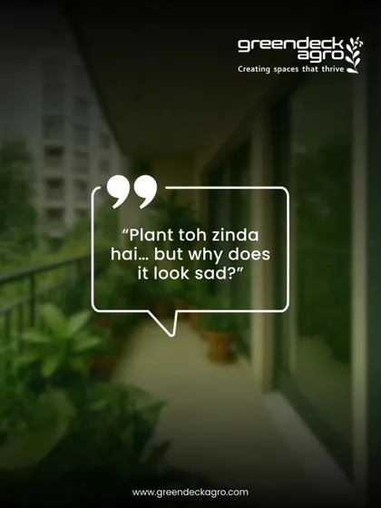 "Plant toh zinda hai, but why does it look sad?" This is a common question we hear. It often points to subtle issues like nutrient deficiency or incorrect watering, which we can fix.